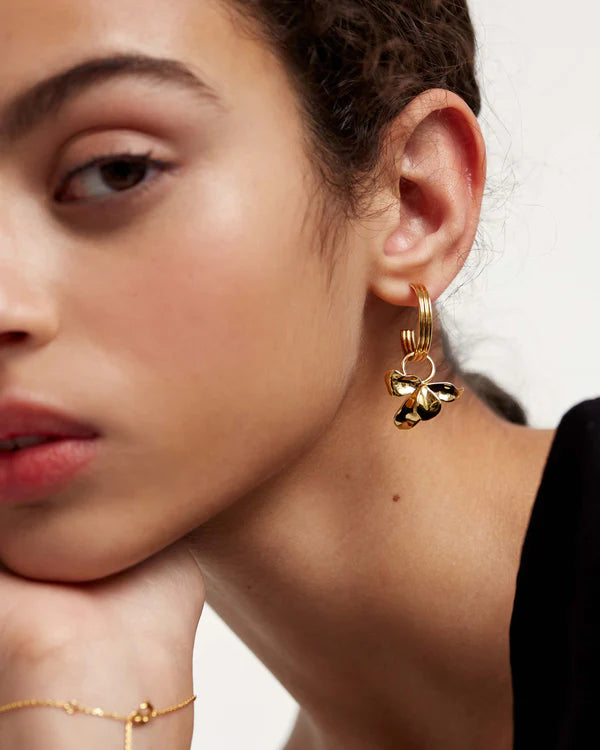 PD Paola ORECCHINI IVY