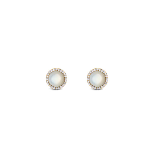 Daniel Wellington Audrey Earrings Mop Gold