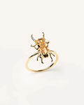 ANELLO COURAGE BEETLE