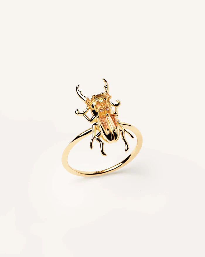 ANELLO COURAGE BEETLE